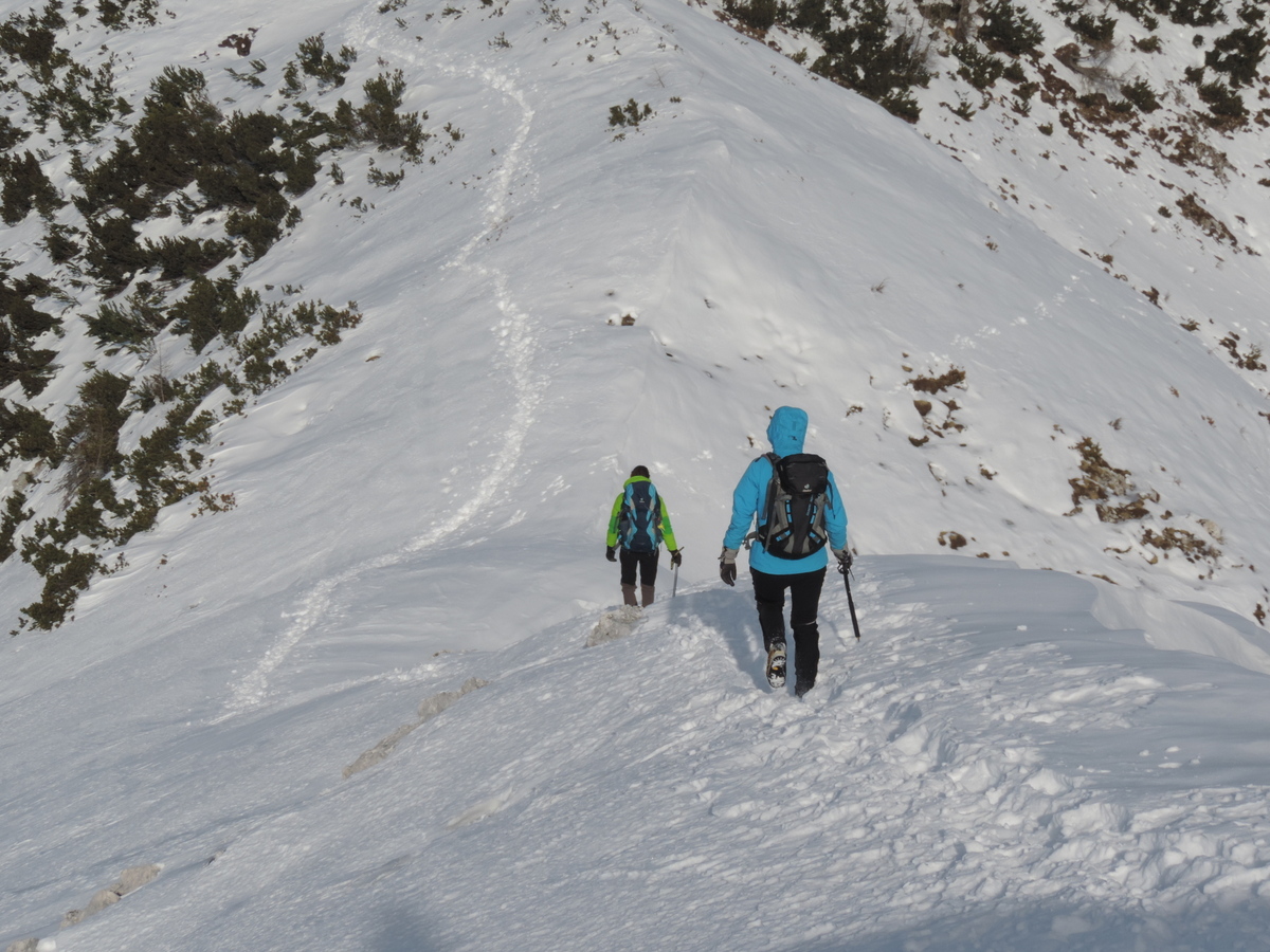 Varneje v gore pozimi - spletno predavanje z Matjažem Šerkezijem