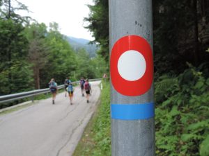 Multi-purpose trail is suitable for both walking and mountain biking.