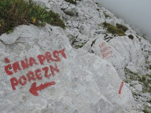 mo_pdd-tabor-med_baco_in_krajcarico-avgust_2018-.foto_matej_ogorevc (57)