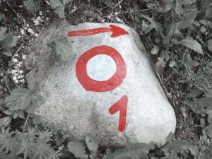 Knafelc blaze with additional number 1, marking Slovenian Mountain Trail.